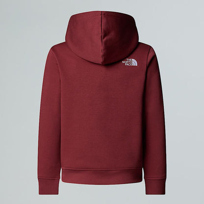 Teens' Drew Peak Pullover Hoodie