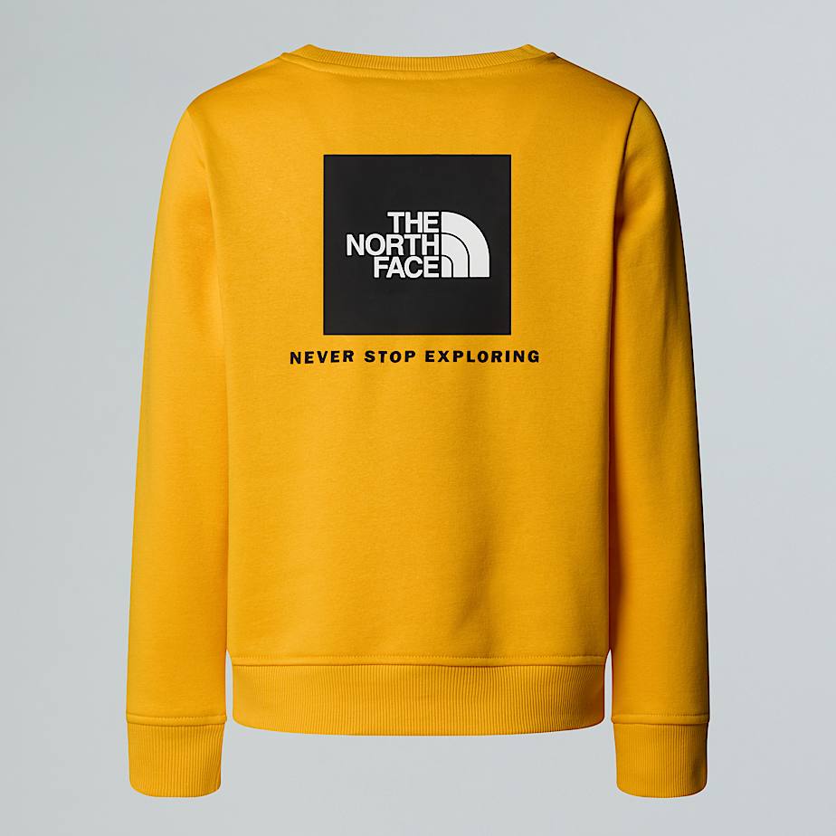 Teens' NSE Box Sweatshirt