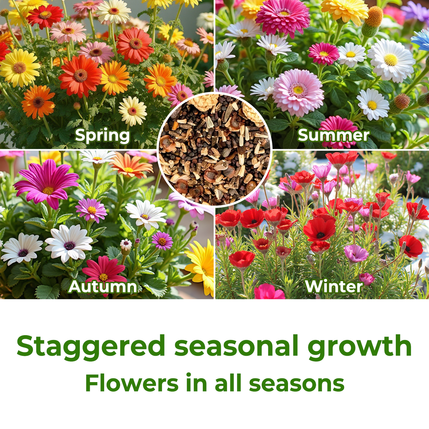 💝Mixed Wild Perennial Flowers Seeds-Over 60 Kinds Mixed