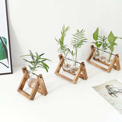 Chikalabs Plant Propagation Swing Stations Glass Terrarium