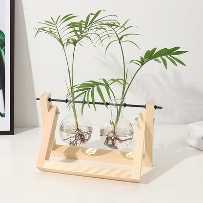 Chikalabs Plant Propagation Swing Stations Glass Terrarium