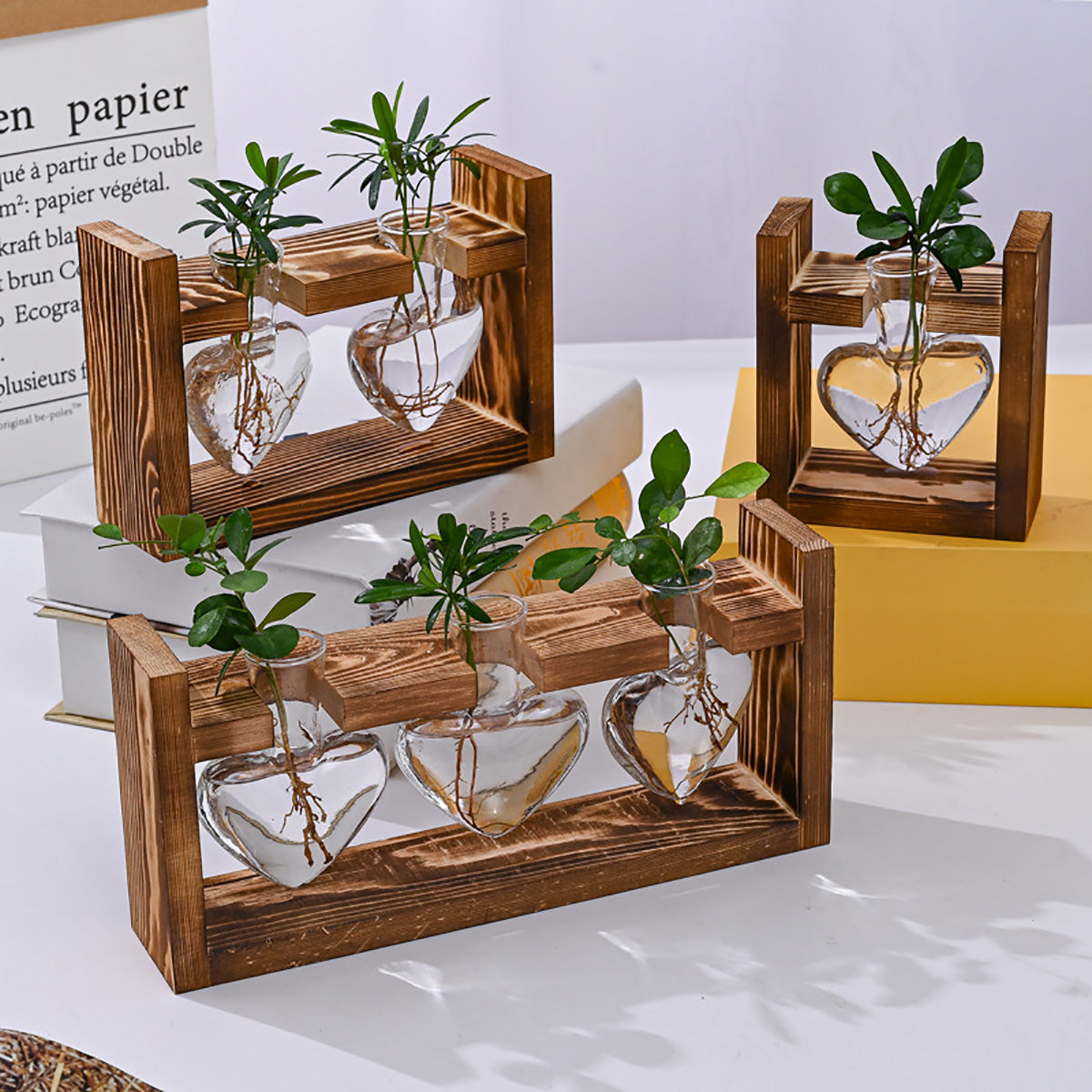 Chikalabs Plant Propagation Stations Glass Terrarium