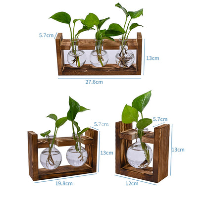 Chikalabs Plant Propagation Stations Glass Terrarium