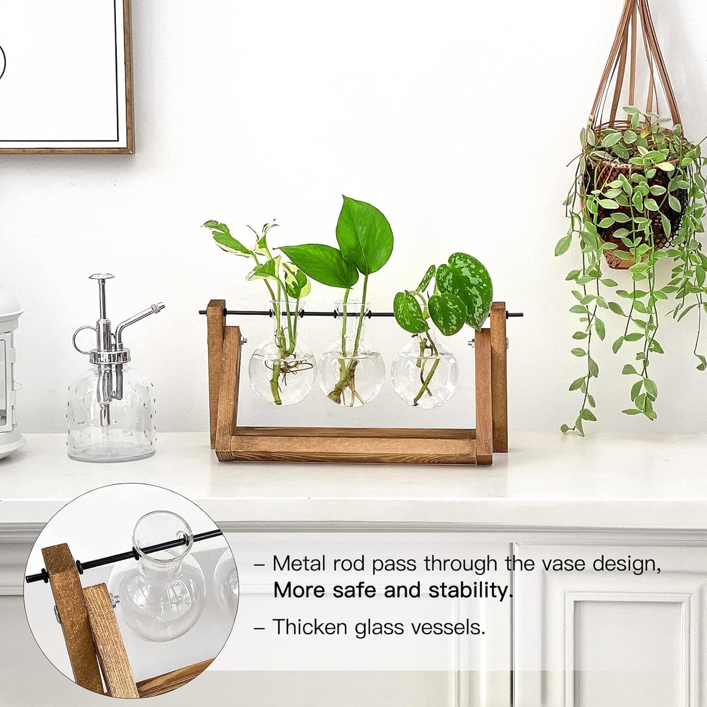 Chikalabs Plant Propagation Swing Stations Glass Terrarium