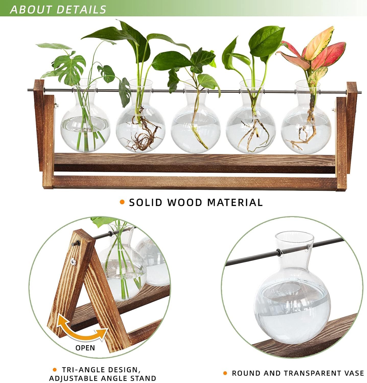 Chikalabs 5 Bulbs Plant Propagation Swing Stations Glass Terrarium