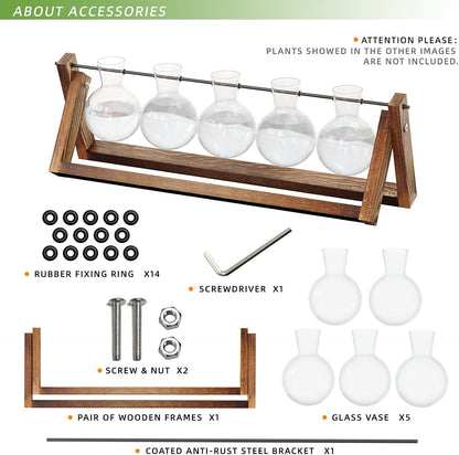 Chikalabs 5 Bulbs Plant Propagation Swing Stations Glass Terrarium