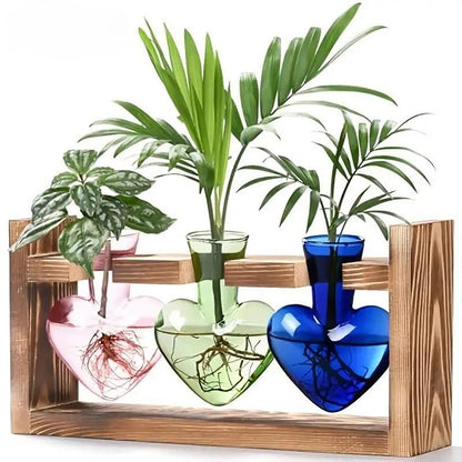 Chikalabs Colorful Plant Propagation Stations Glass Terrarium