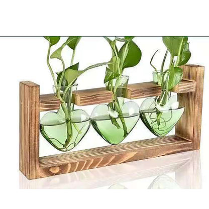 Chikalabs Green Heart Plant Propagation Stations Glass Terrarium