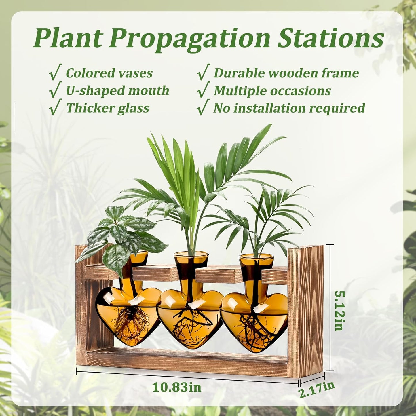 Chikalabs Brown Heart Plant Propagation Stations Glass Terrarium