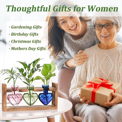 Chikalabs Colorful Plant Propagation Stations Glass Terrarium