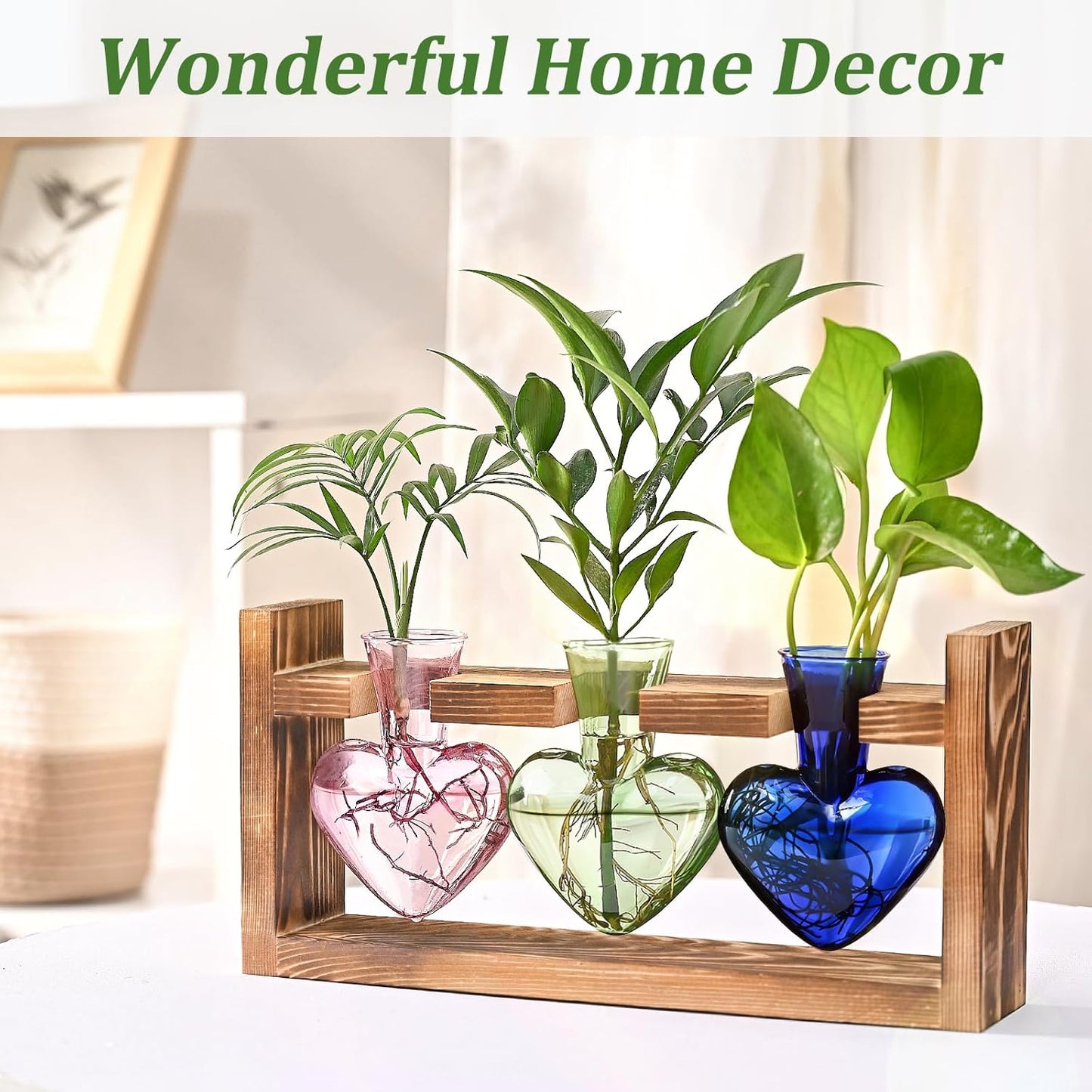 Chikalabs Colorful Plant Propagation Stations Glass Terrarium