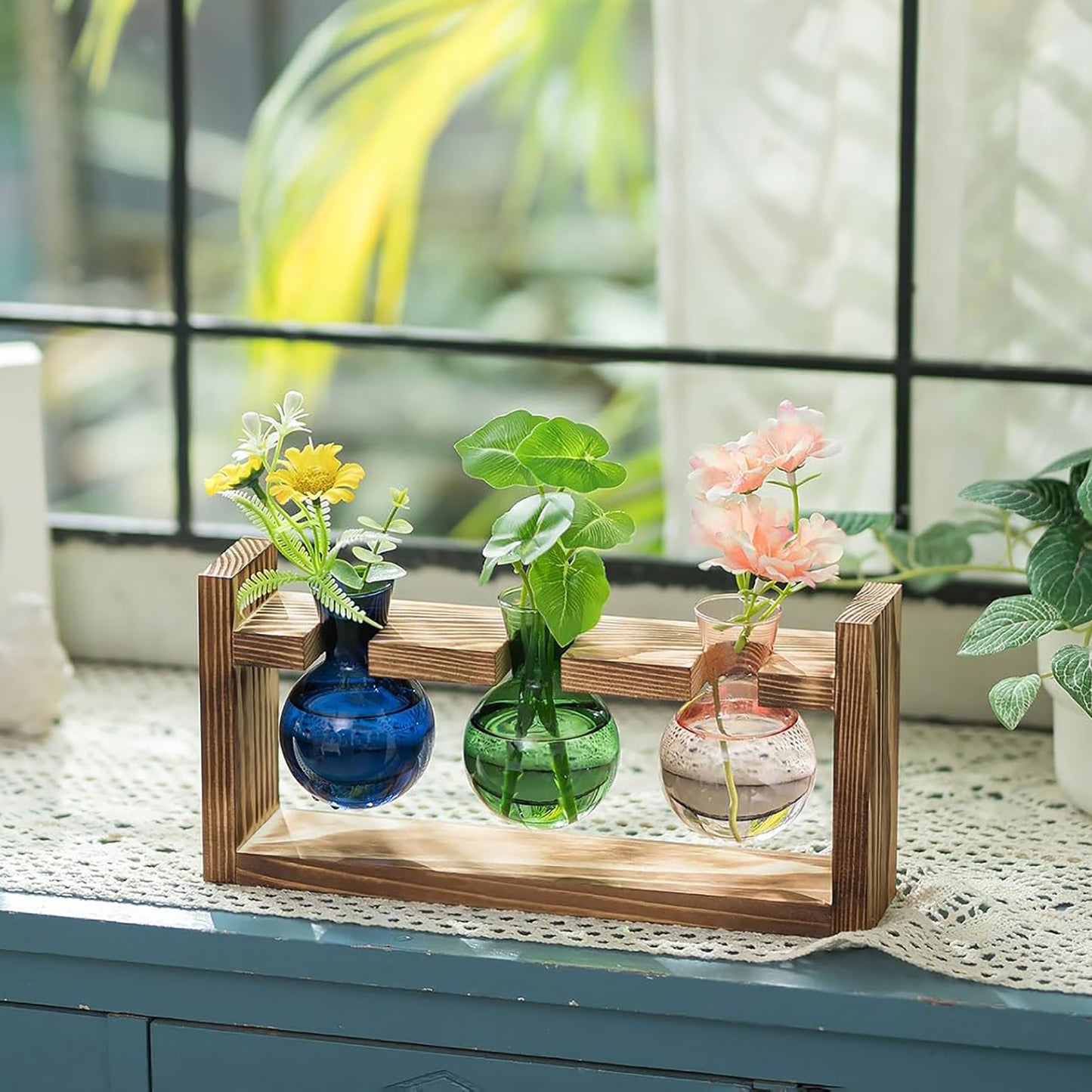 Chikalabs Colorful Plant Propagation Stations Glass Terrarium