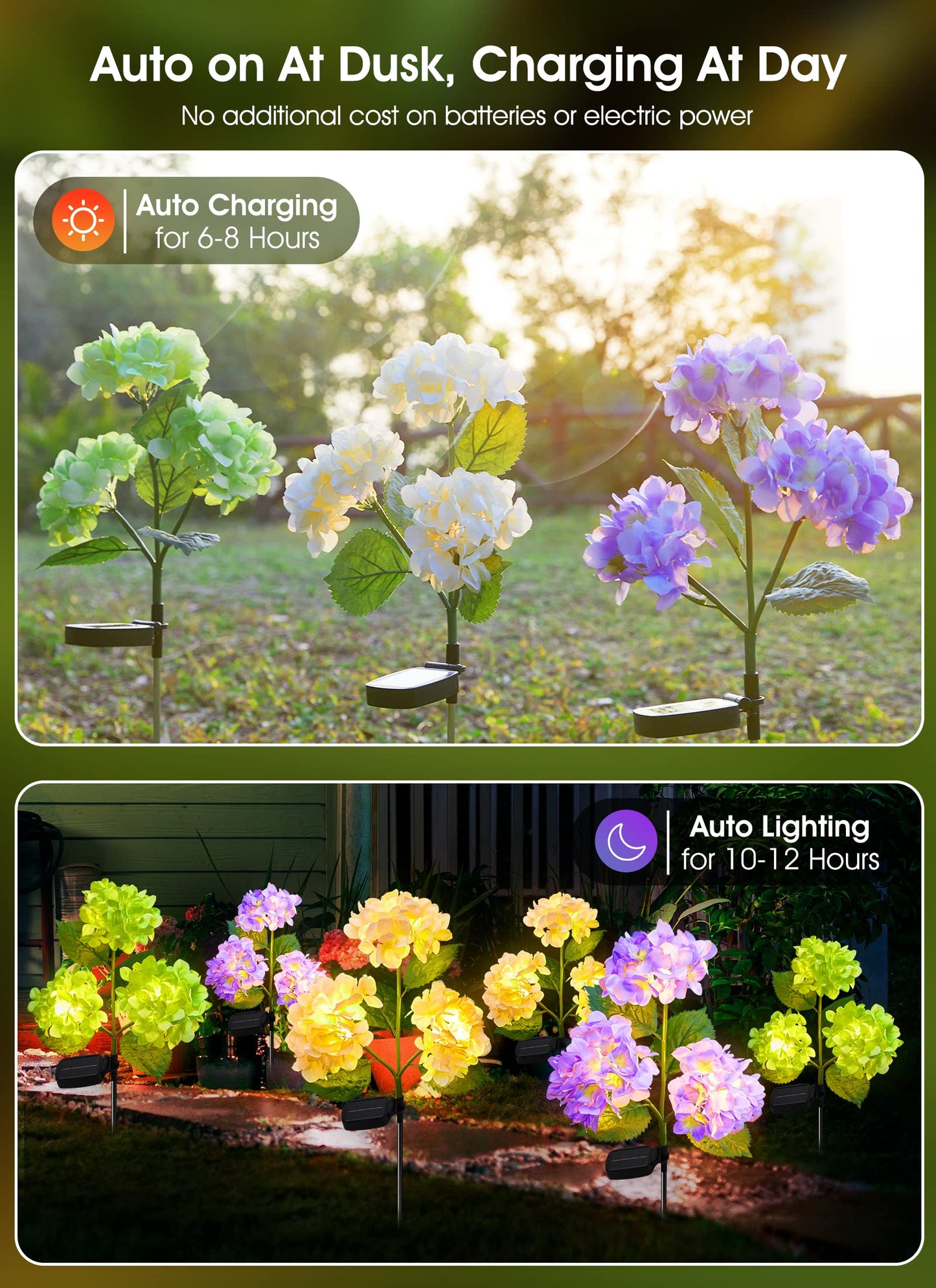 💐Chikalabs Garden Rose Solar Flower Lights