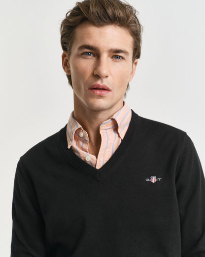Classic Cotton V-Neck Sweater